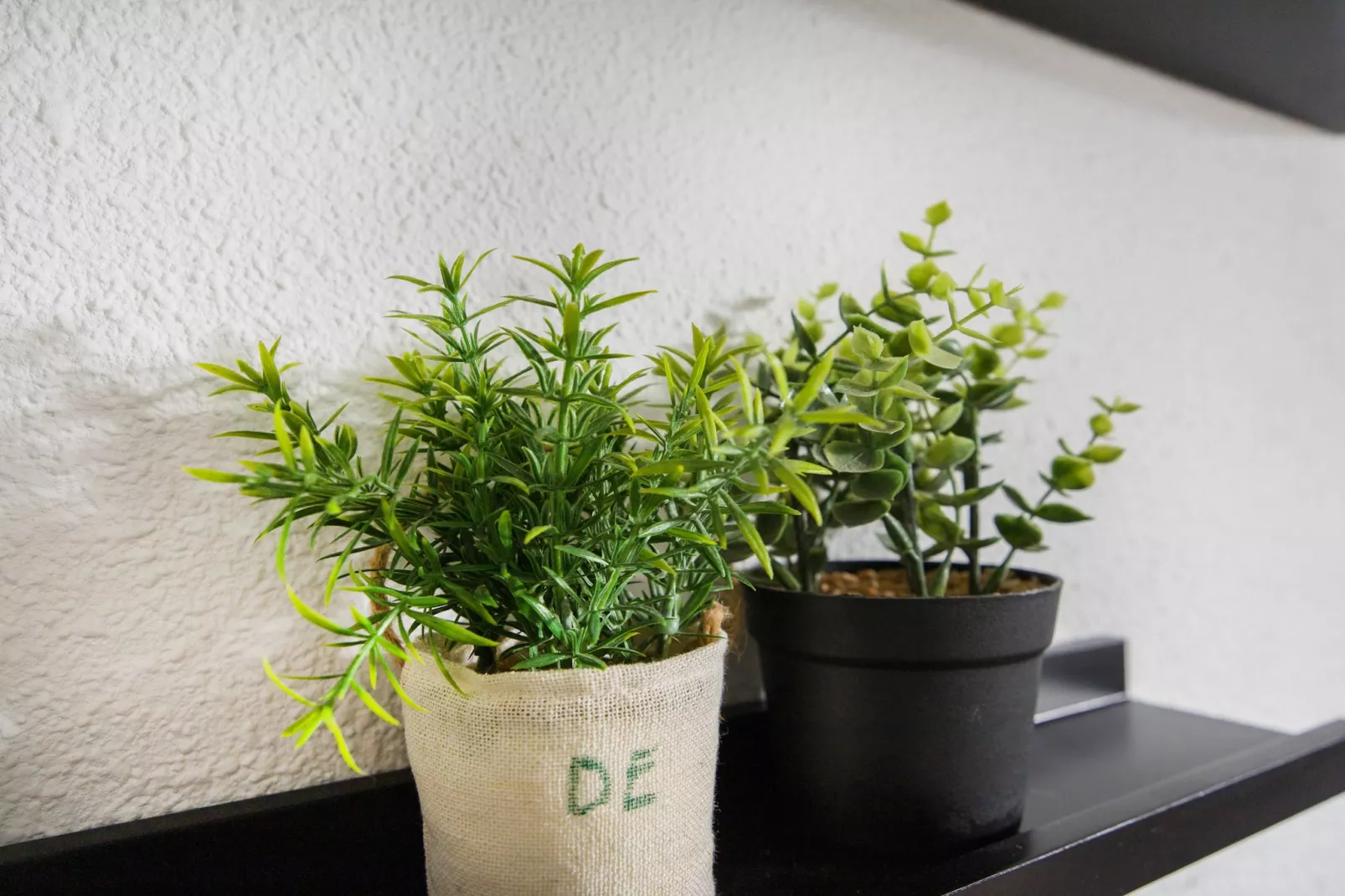 6 - Persons De Zingende Wilg (copy) (copy) (copy) - Ambiente