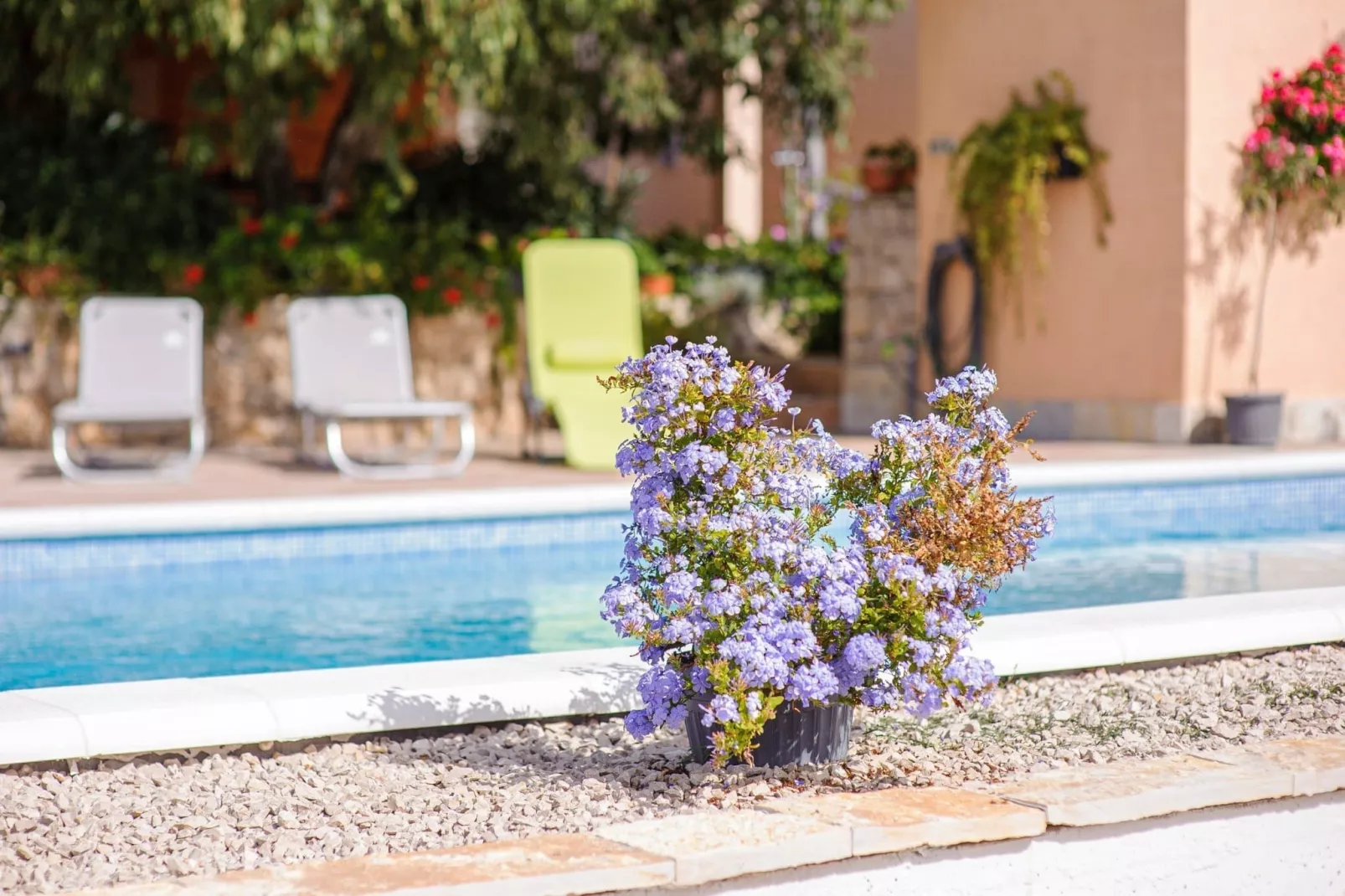 Holiday Home Rokoko - Two Bedroom Holiday Home with Swimming Pool - Piscine