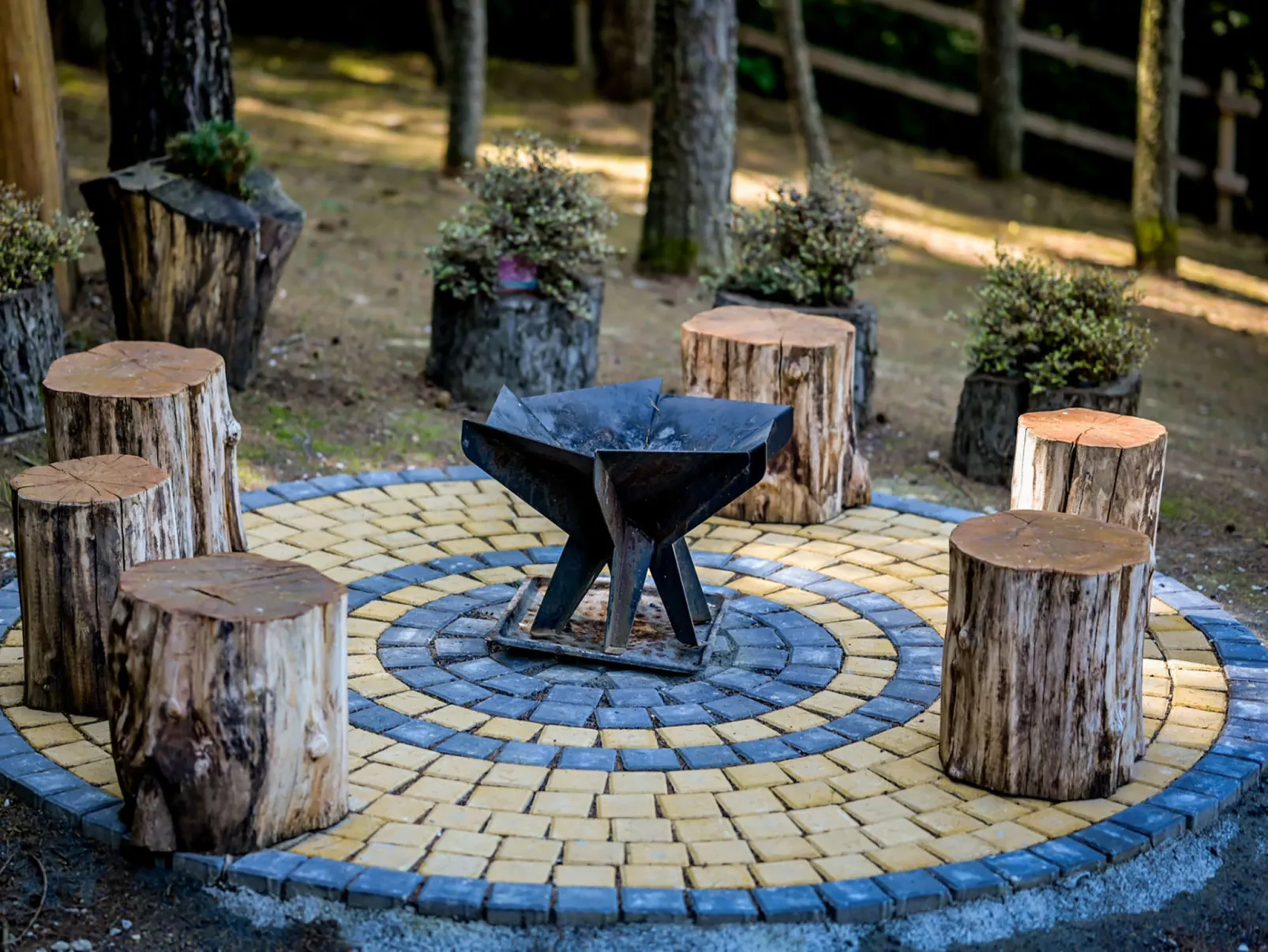 Pine Hill - Draußen