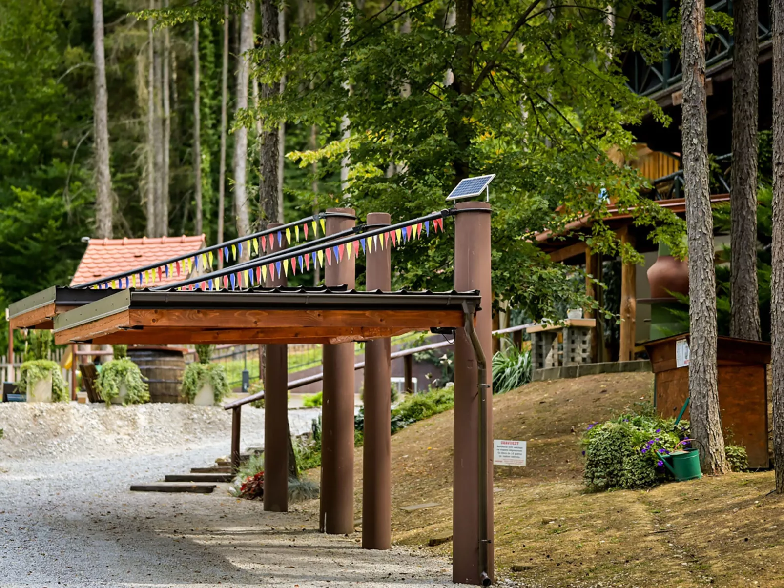 Pine Hill - Draußen