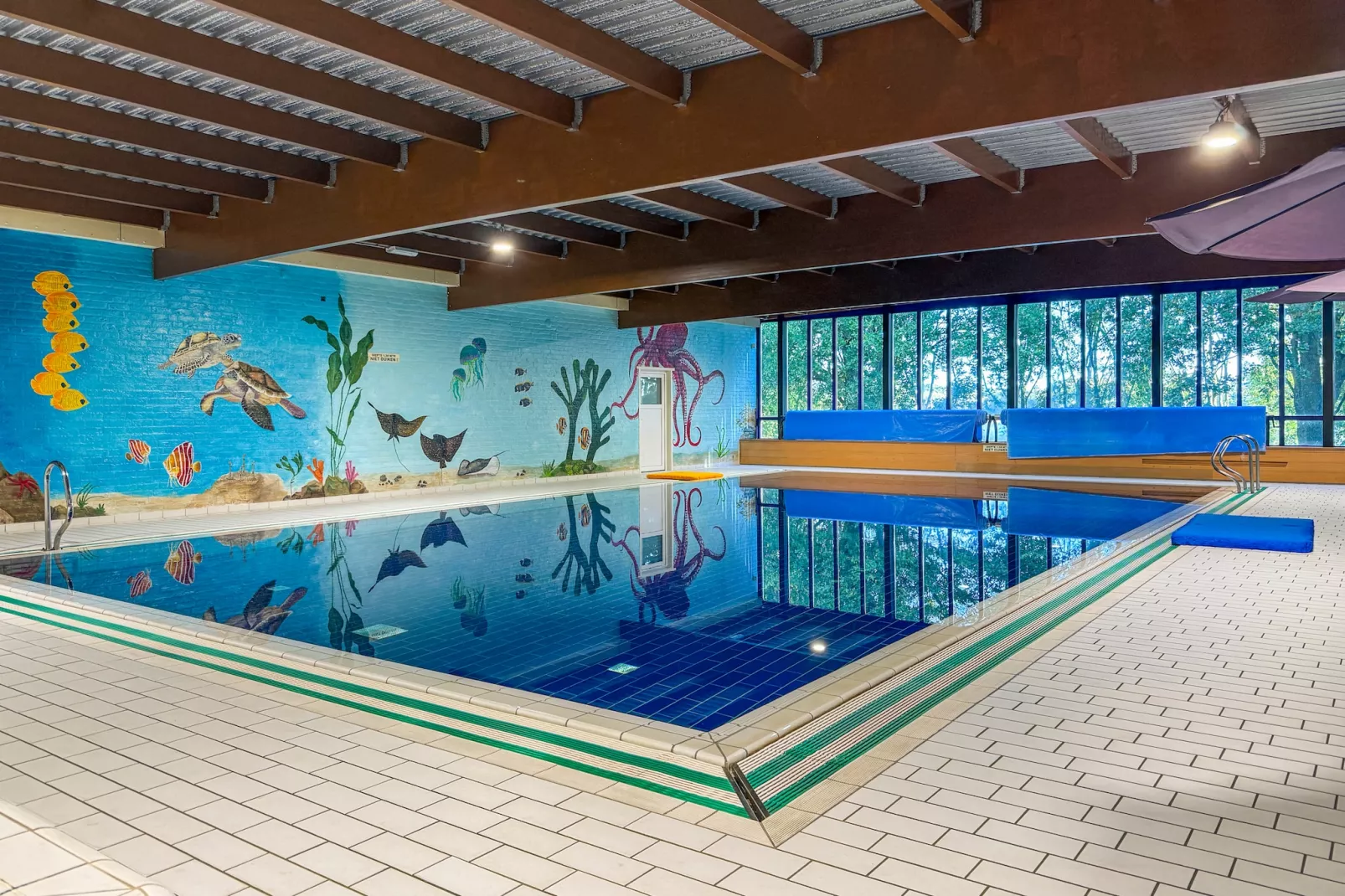 Vakantiepark 't Broeckhuys 1 - Schwimmbad