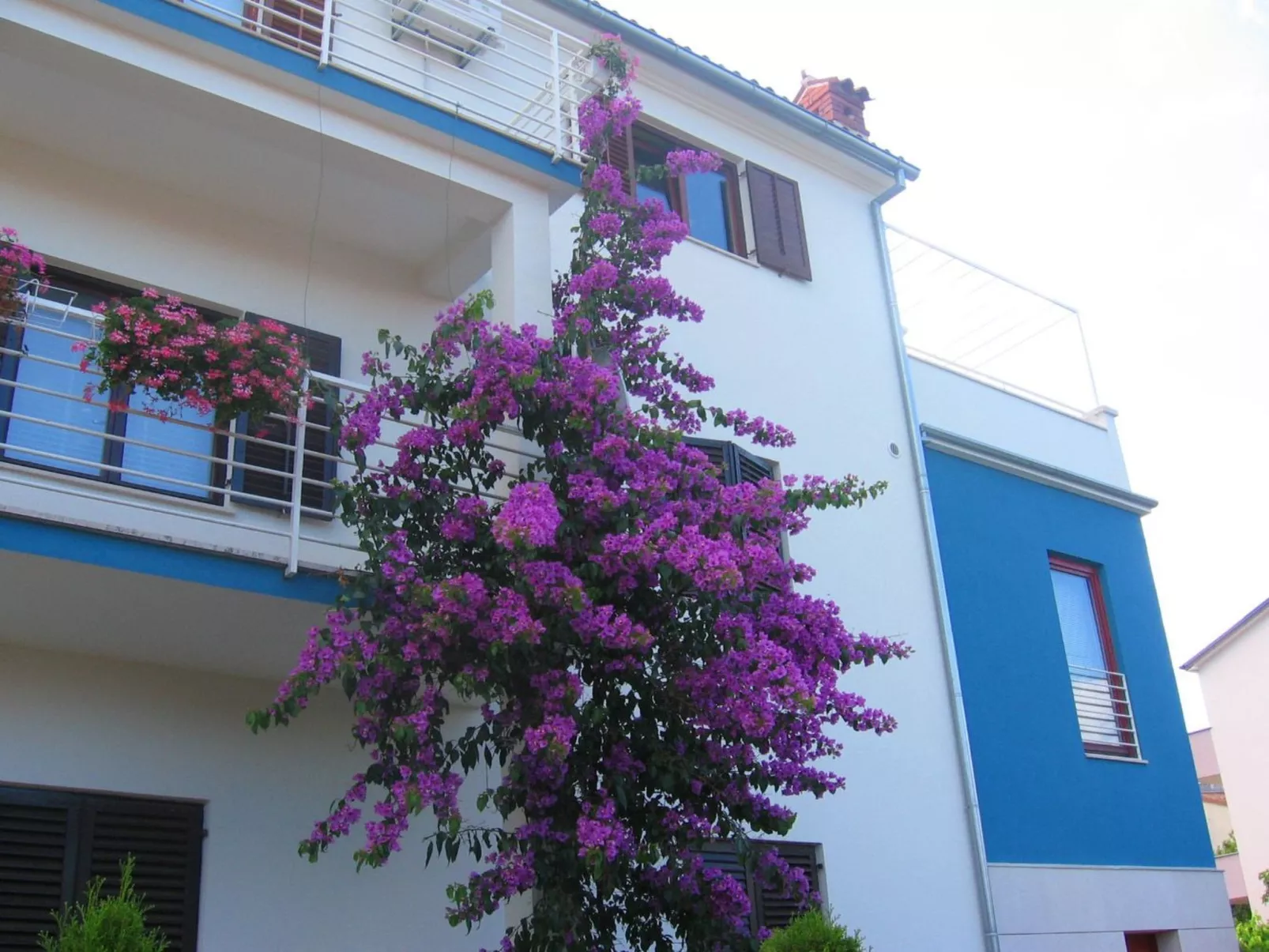 Große Wohnung in Pješčana Uvala mit Eigenem Balk