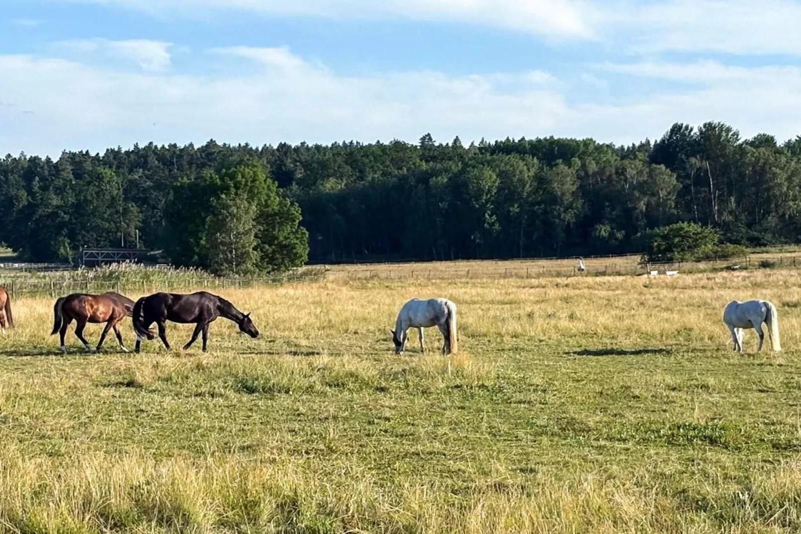 4 person holiday home in ADELSÖ