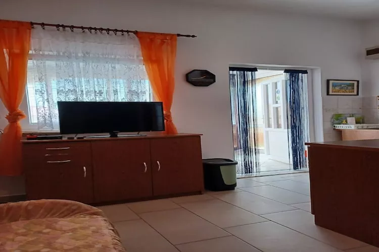 Apartments Topić - One Bedroom Apartment with Terrace (First Floor) - Salon