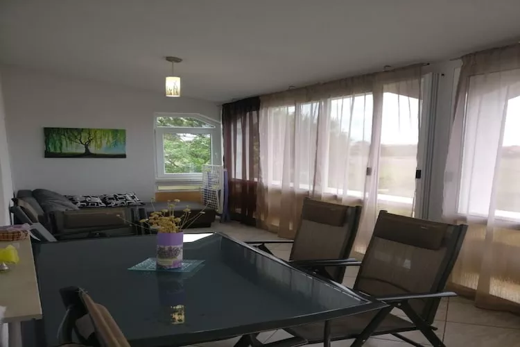 Apartments Topić - One Bedroom Apartment with Terrace (First Floor) - Salon