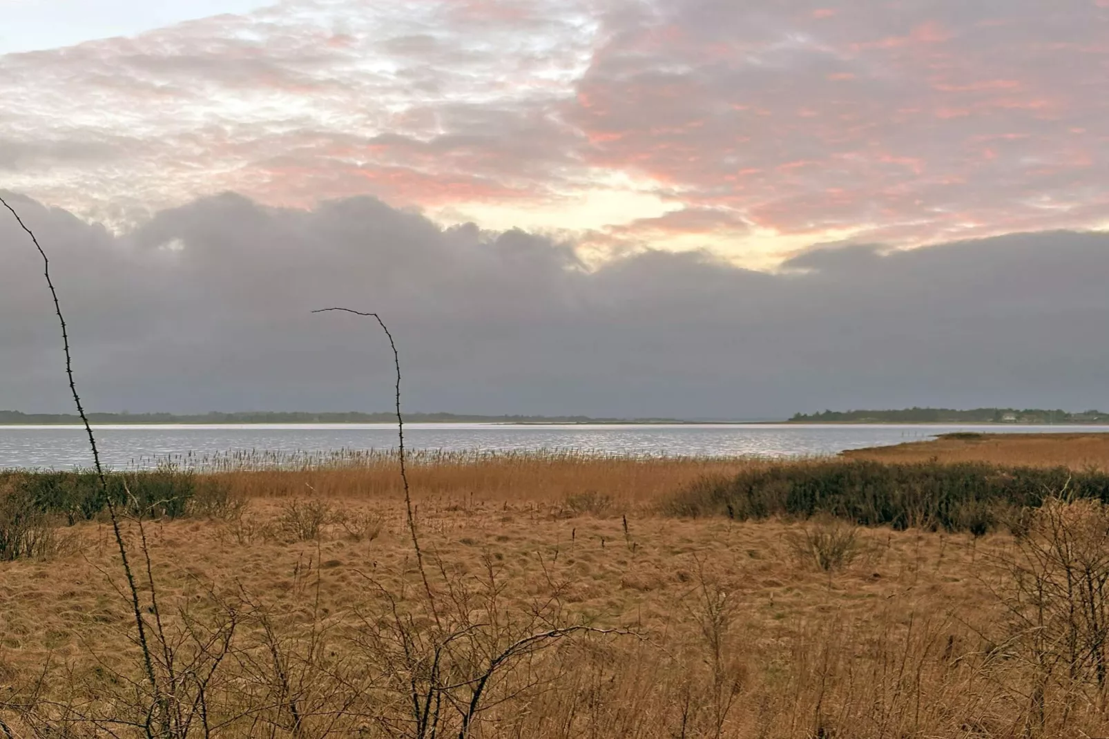 4 etoiles maison de vacances a Roslev - Vue sur l'eau