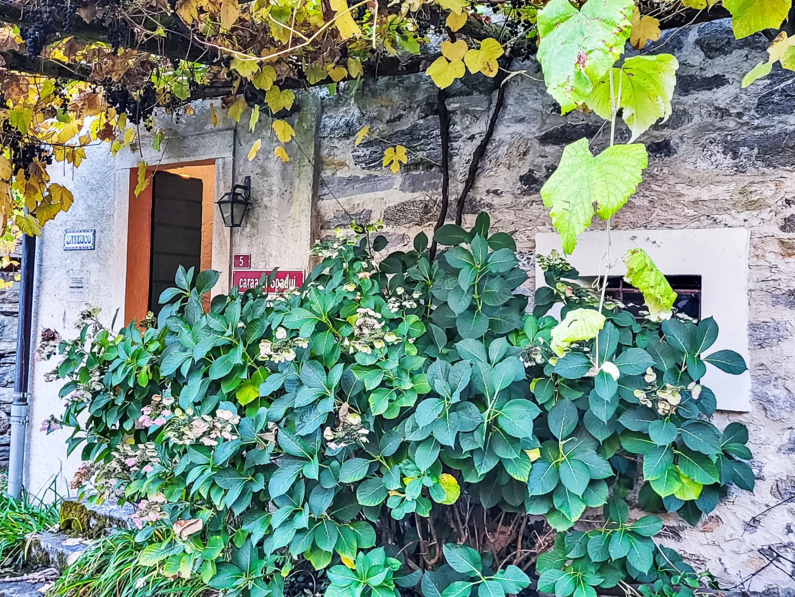 Casa Sambuco - Outside