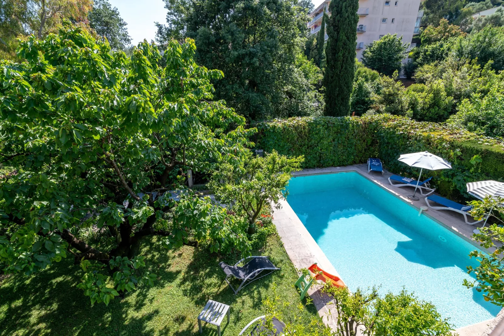 Oasis d'amon - Swimming pool