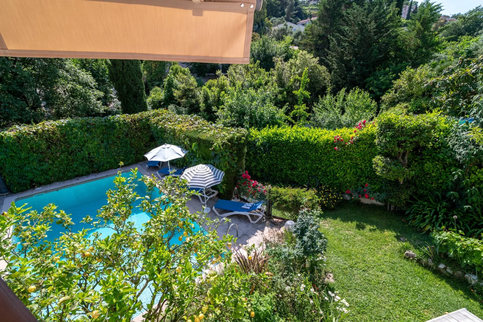 Oasis d'amon - Swimming pool