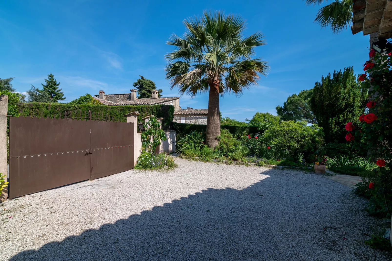 Oasis d'amon - Hall & reception