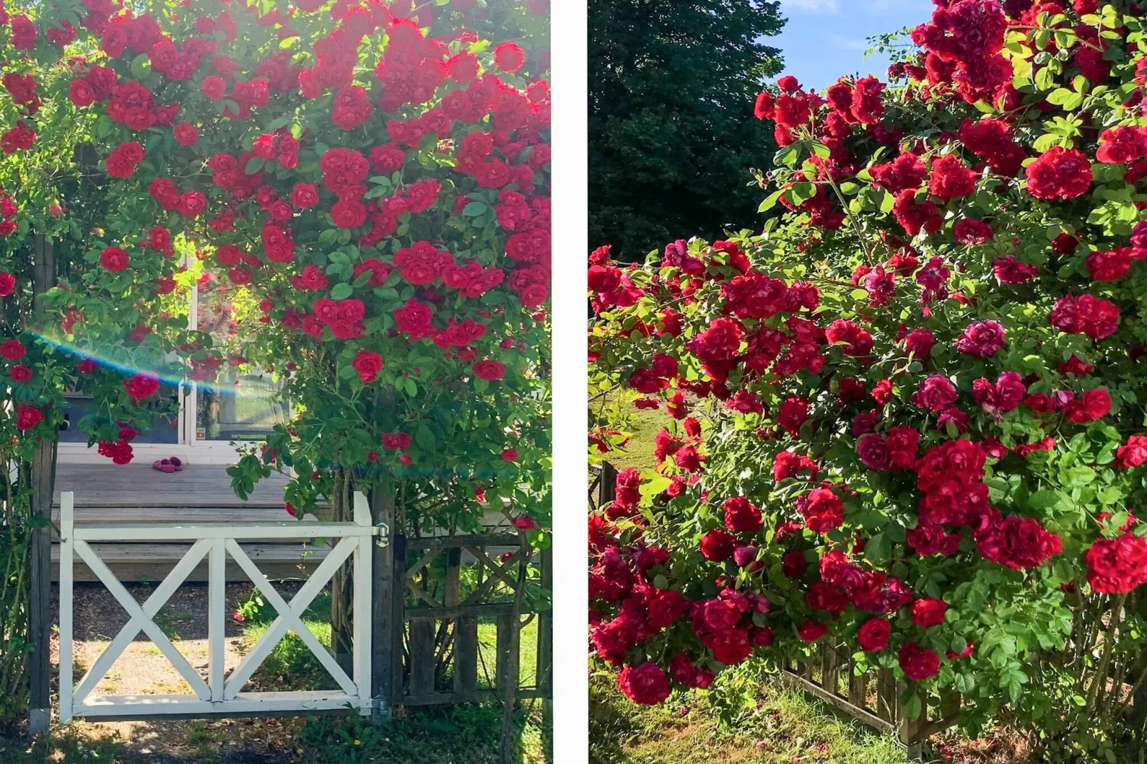 4 Sterne Ferienhaus in FÄRJESTADEN - Im Freien