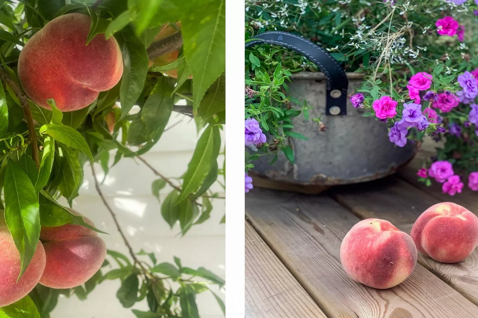 4 Sterne Ferienhaus in FÄRJESTADEN - Im Freien