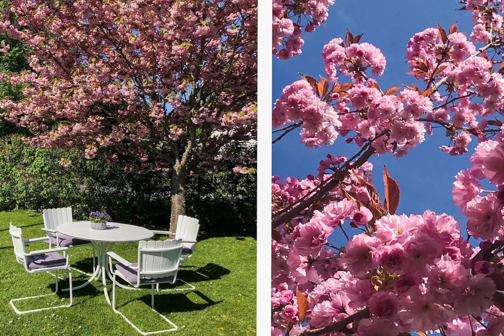 4 Sterne Ferienhaus in FÄRJESTADEN - Im Freien