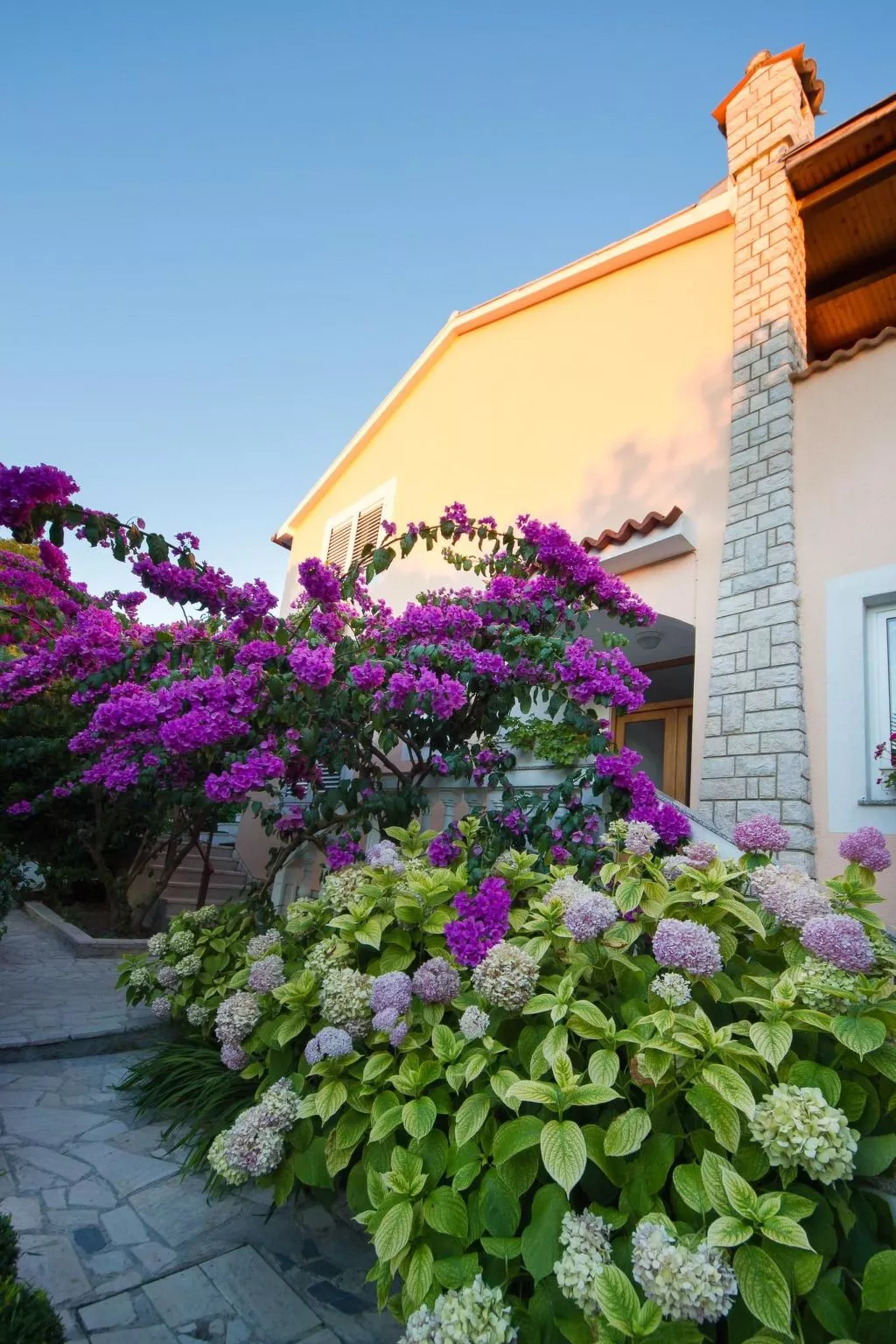 Mit Terrasse - Image-tags.info