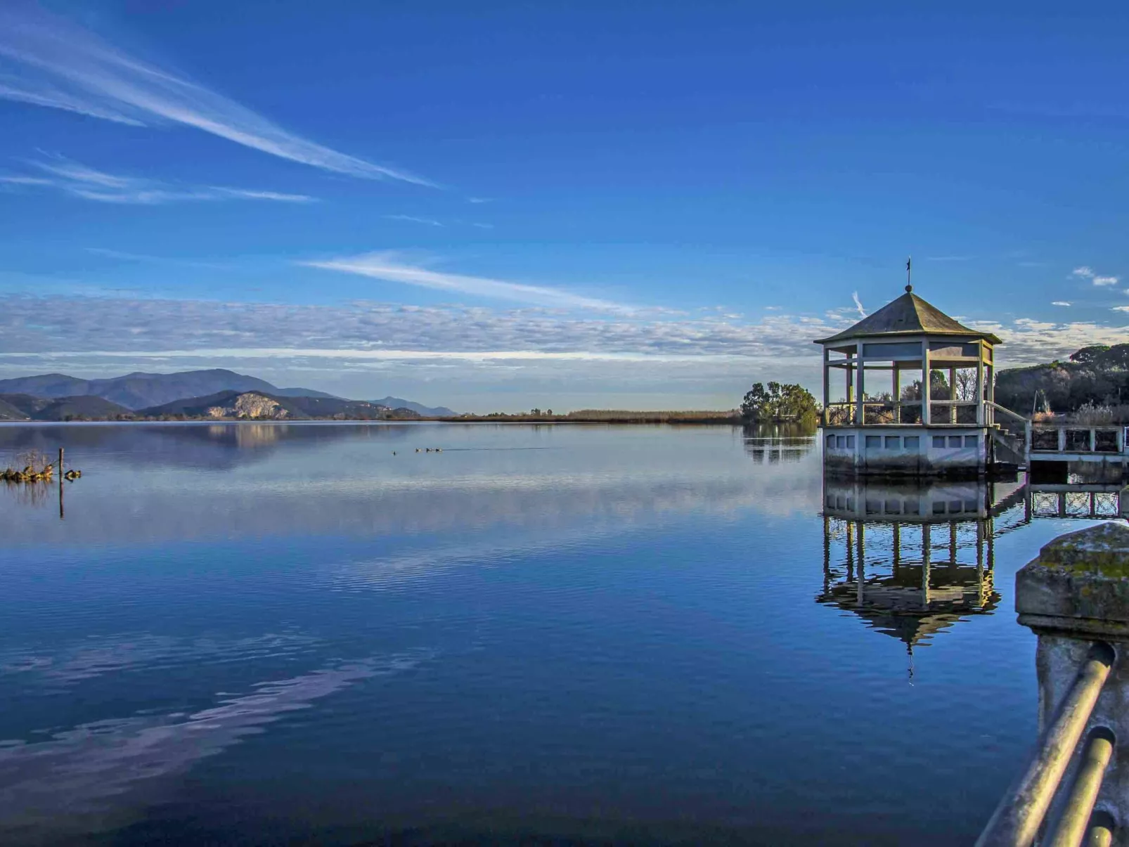 Life Tower - Umgebung