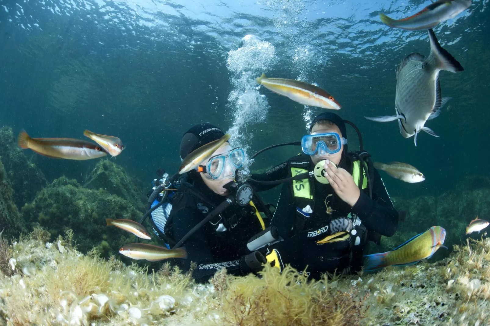 Studio Kalliste pour 2 personnes - Areas within 5km in summer