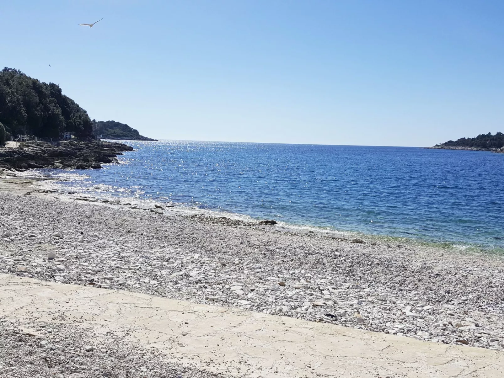 Große Wohnung in Pješčana Uvala mit Eigenem Balk - Image-tags.info