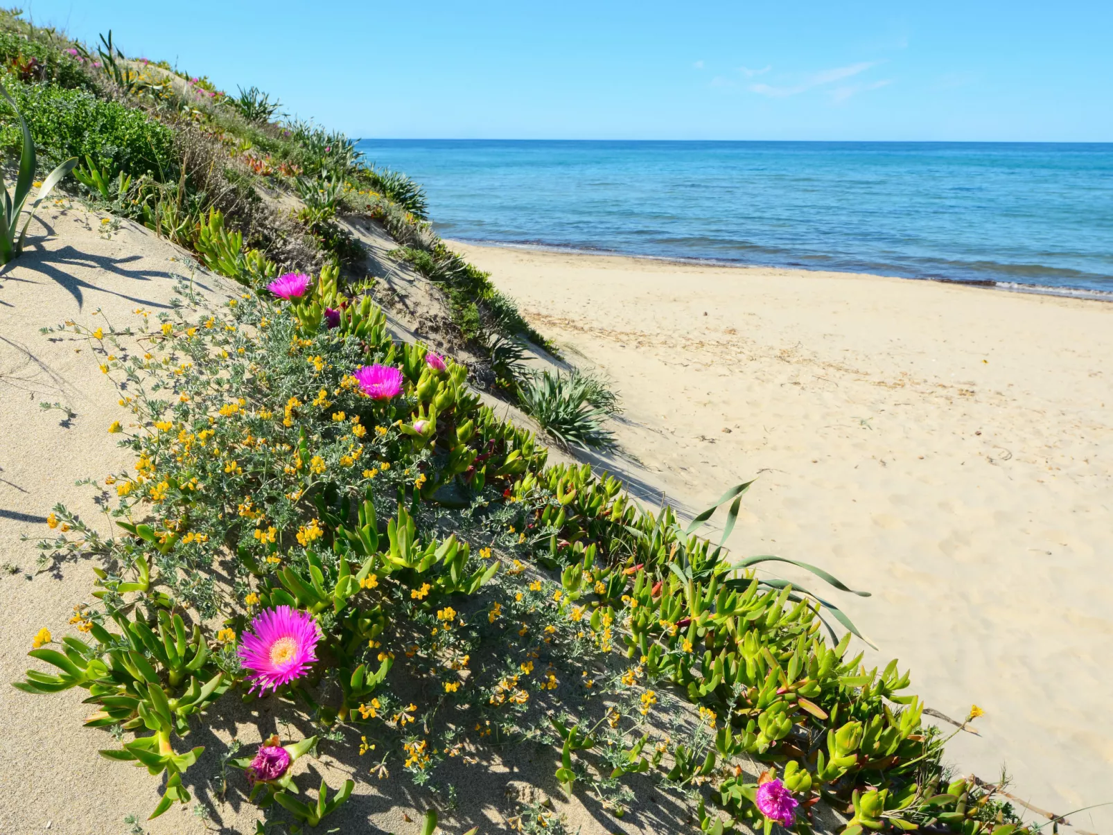 Bella Italia Sardinia - Umgebung