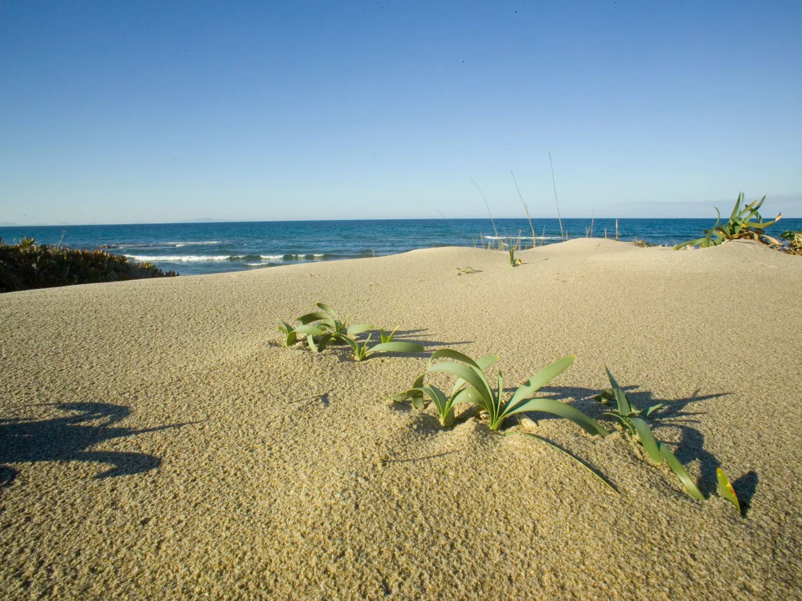 Bella Italia Sardinia - Umgebung