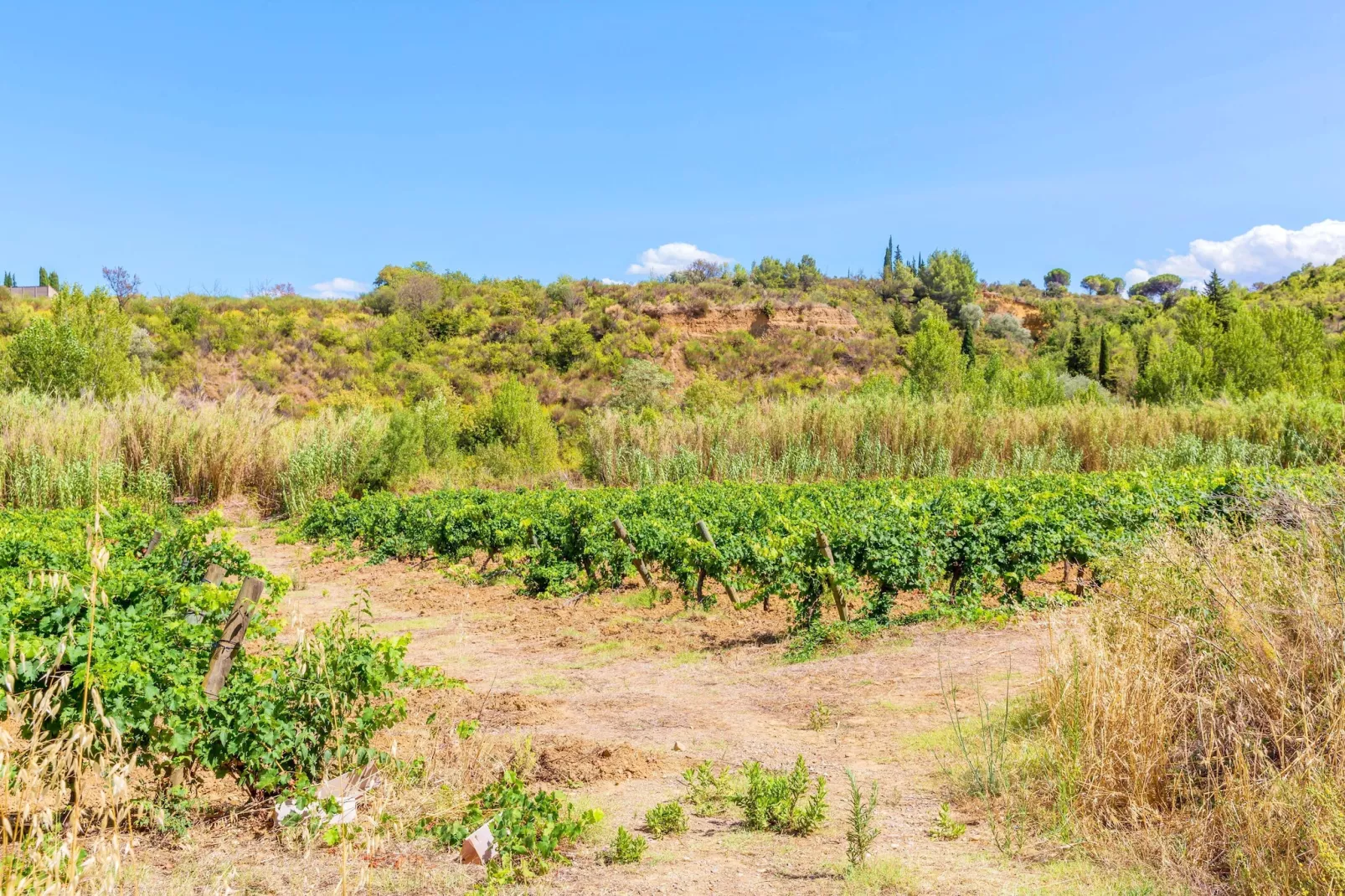 Villa avec piscine - Zones été à 5 km