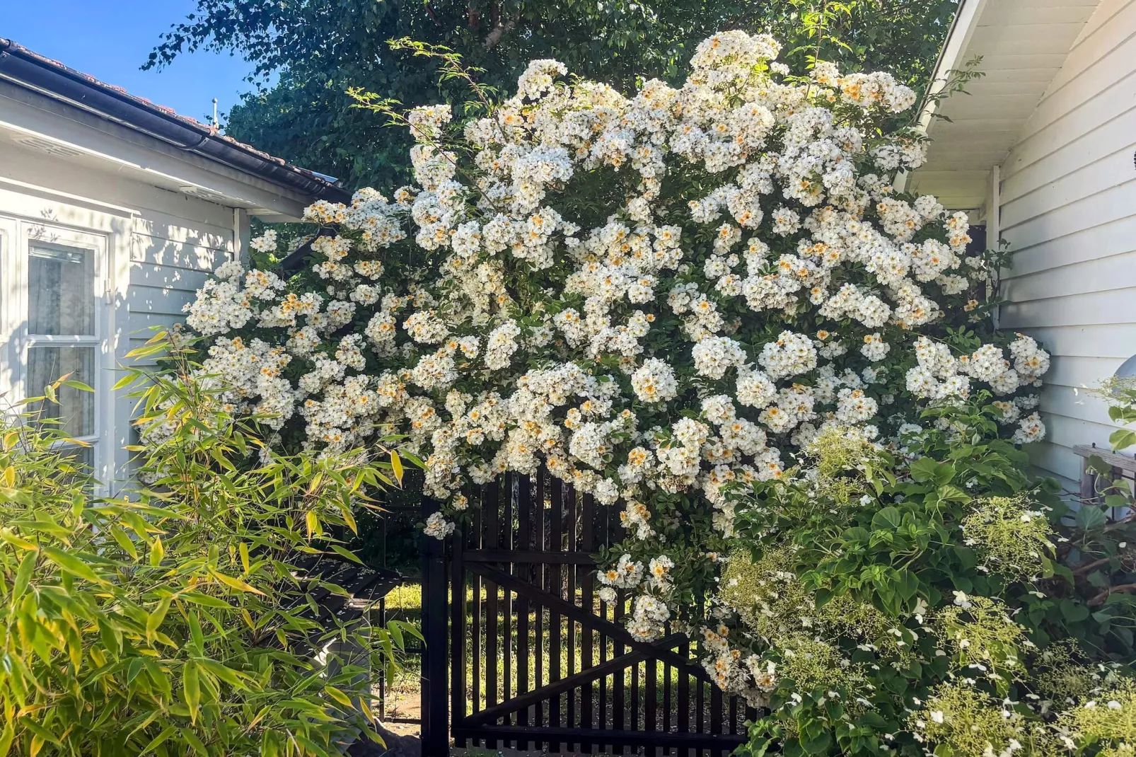 4 Sterne Ferienhaus in FÄRJESTADEN - Im Freien
