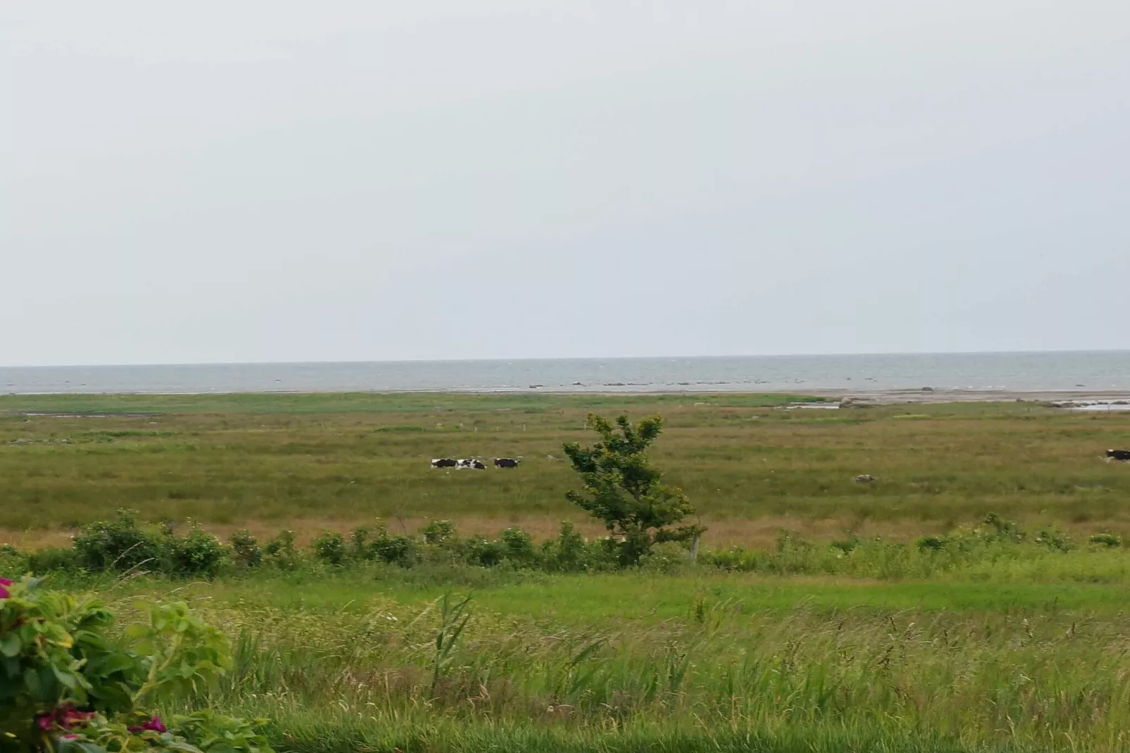 Maison de vacances pour 4 a Tvååker - Non tagué