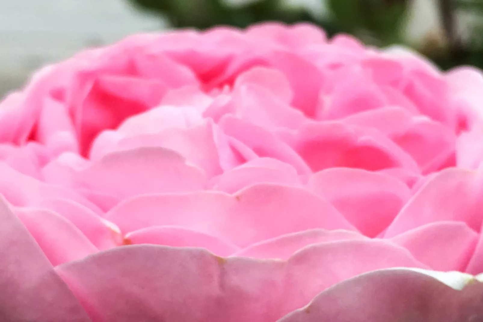 4 Sterne Ferienhaus in FÄRJESTADEN - Nicht zugeordnet