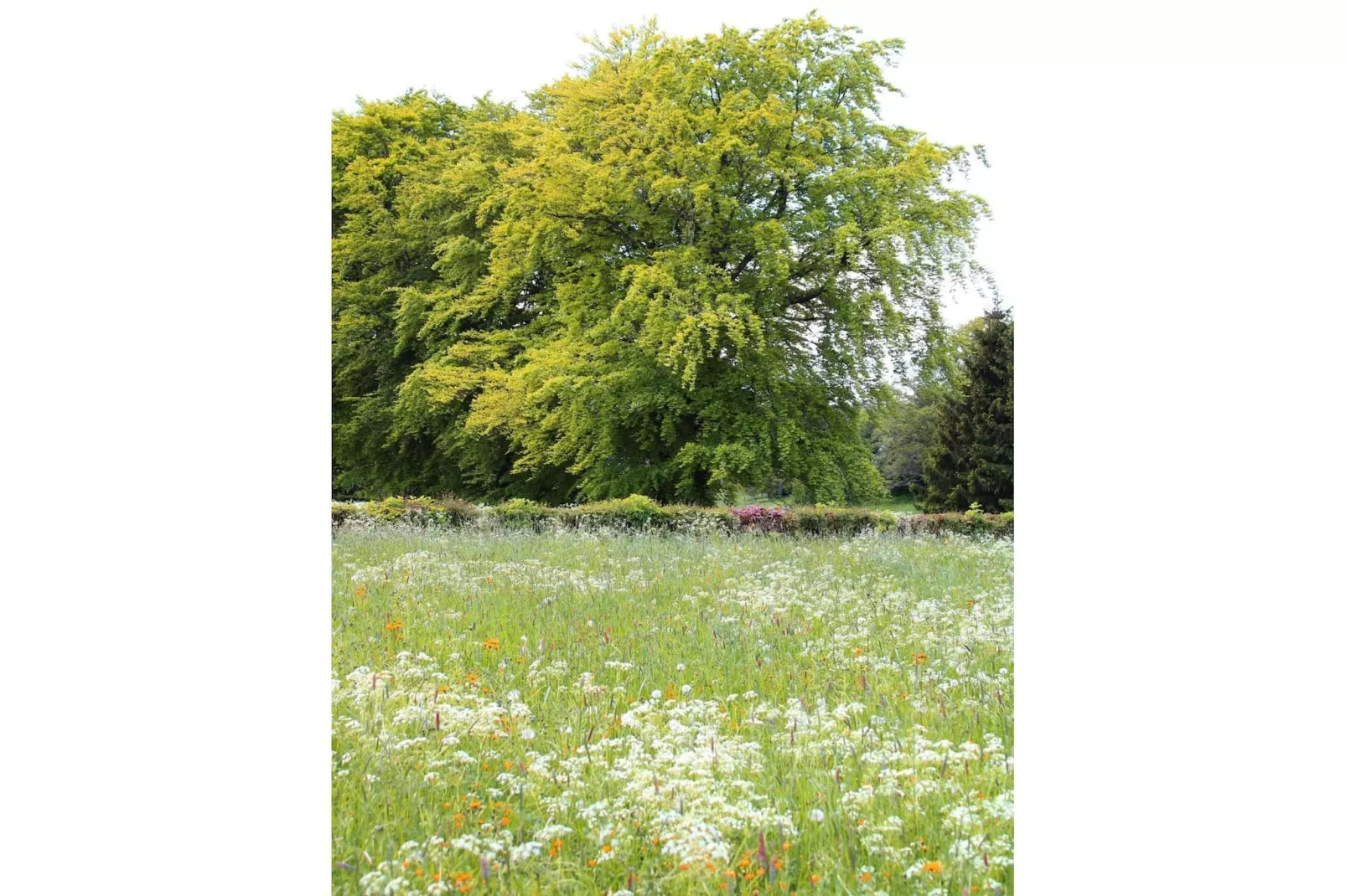 Haus Hunnenberg 2 - Areas within 1km in summer