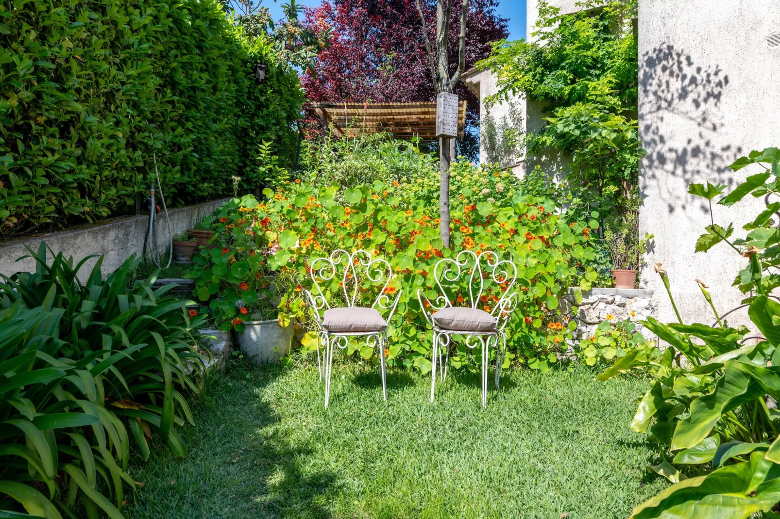 Oasis d'amon - Gardens in summer