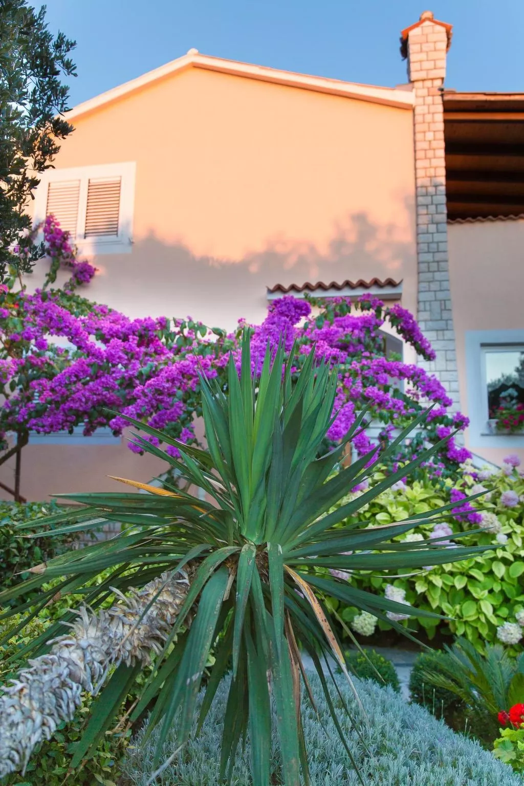 Mit Terrasse - Image-tags.info