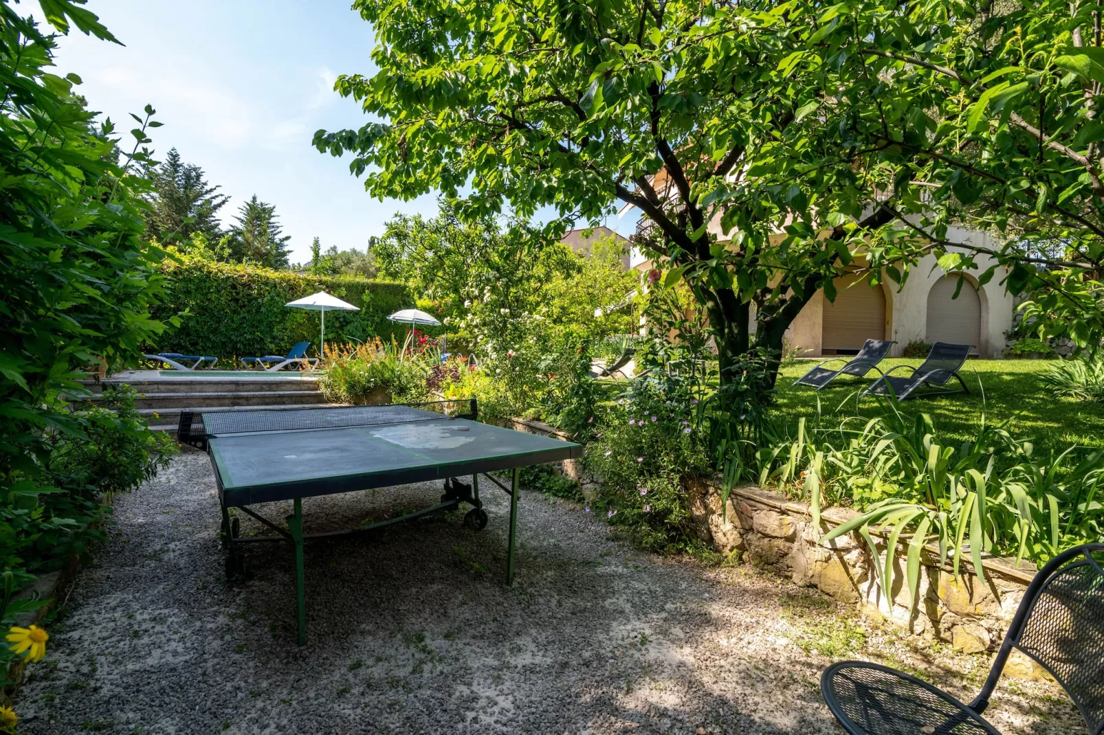 Oasis d'amon - Gardens in summer