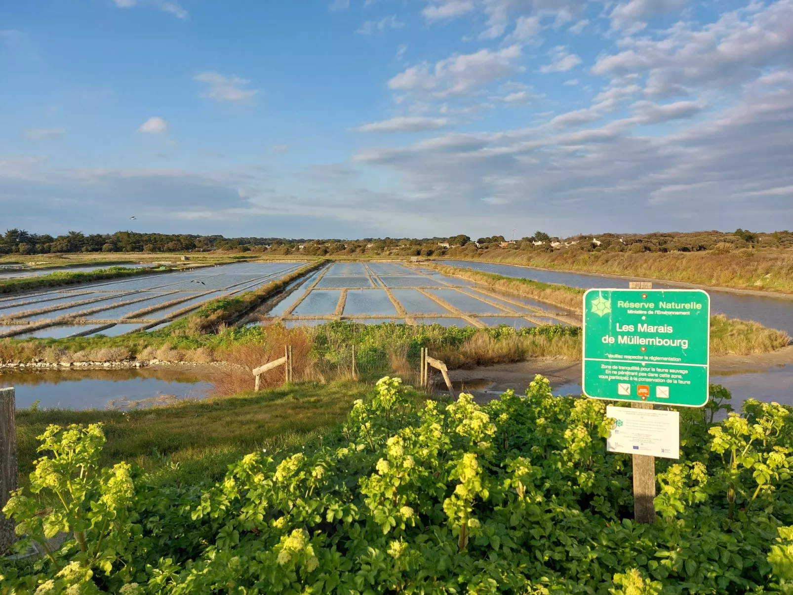 Tranquille en bord de Mer - Environnement