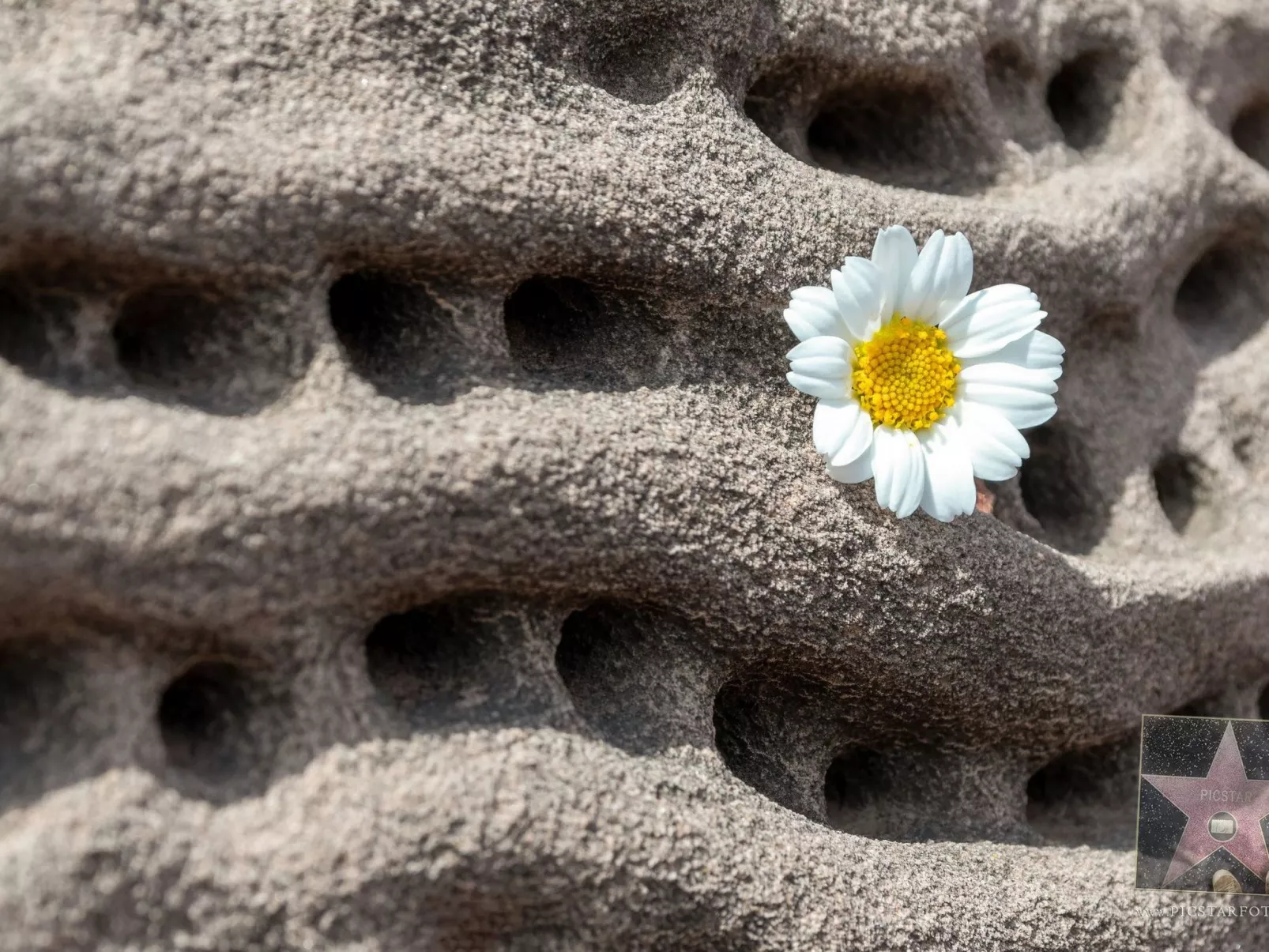 Villa Anna 12B - Inside