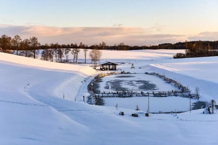 Dom wakacyjny LOFT 2 Nowy Podleś - Garden in winter