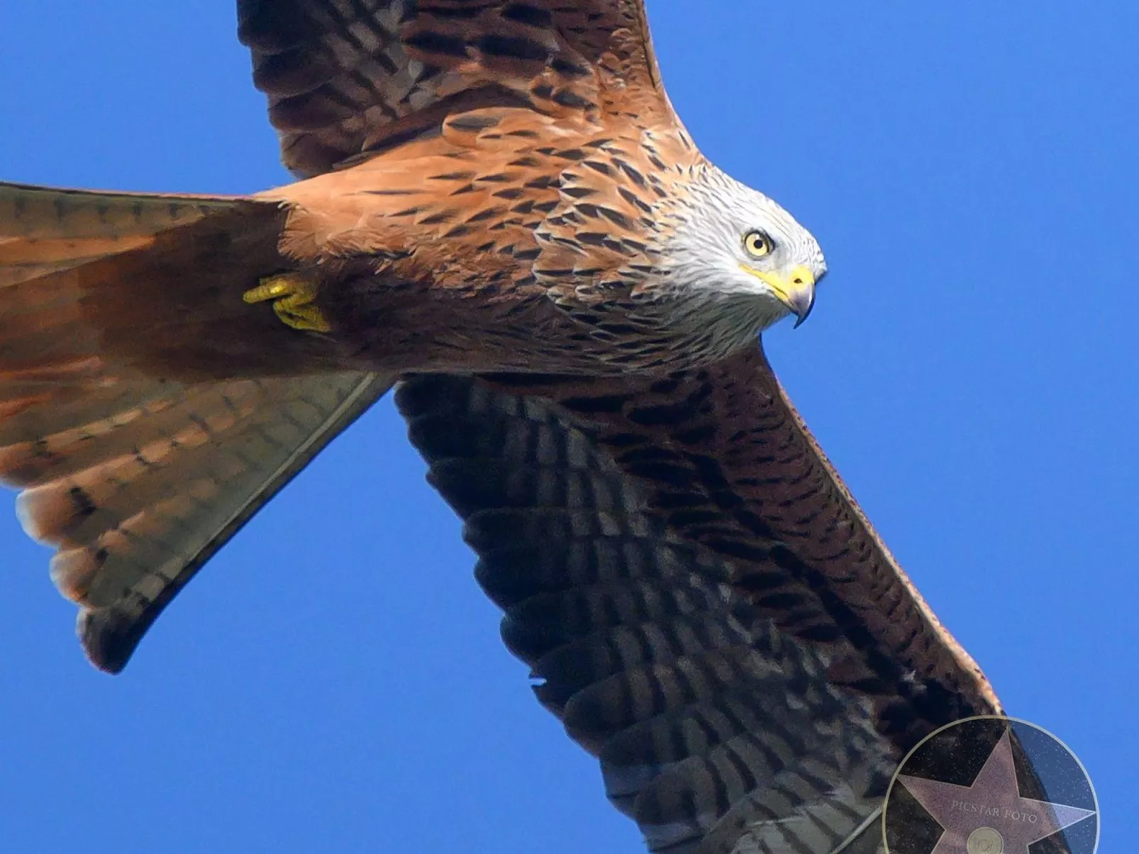 Villa Anna 12B - Inside