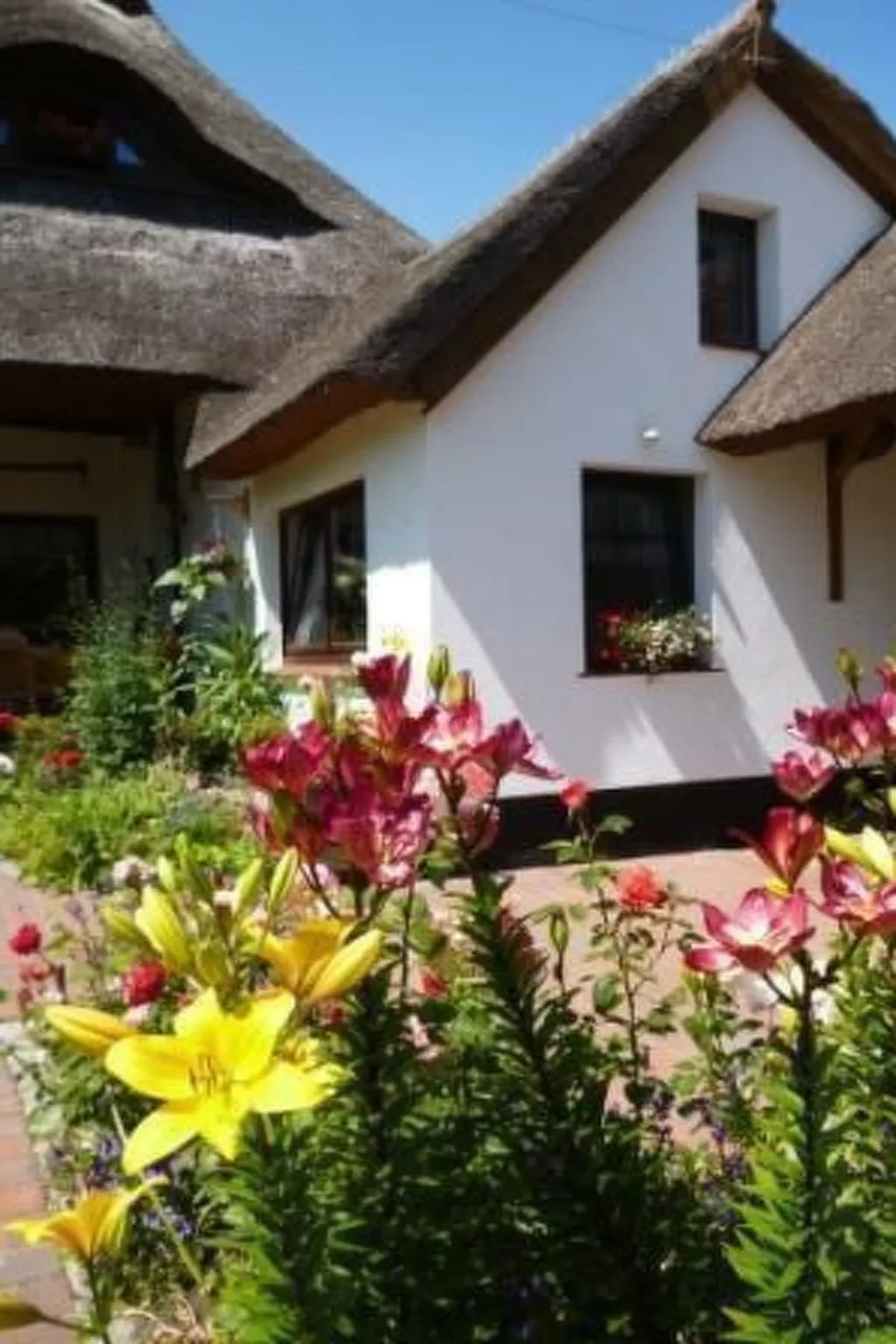 Morgensünn- Nette Wohnung in Althagen mit Terras