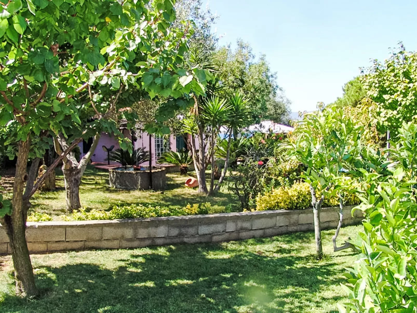 Villa Cecilia - Outside