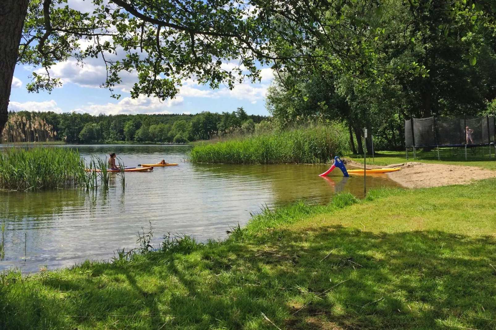 Reihenbungalow - Garten Sommer