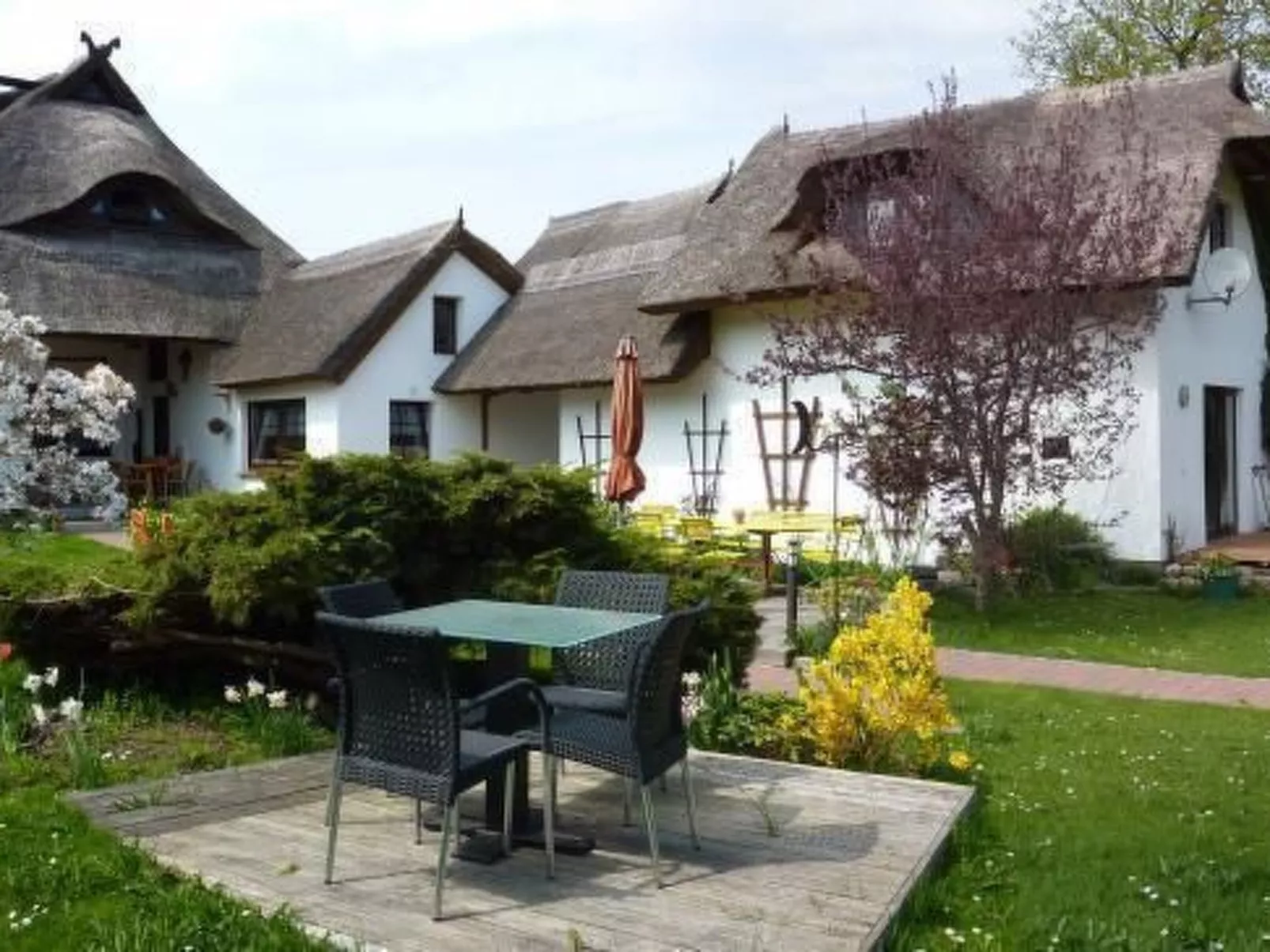 Morgensünn- Nette Wohnung in Althagen mit Terras - Dehors