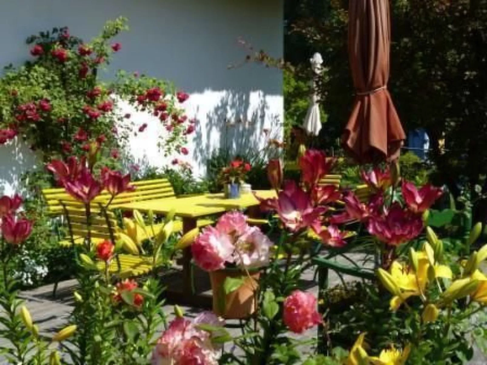 Morgensünn- Nette Wohnung in Althagen mit Terras - Dehors