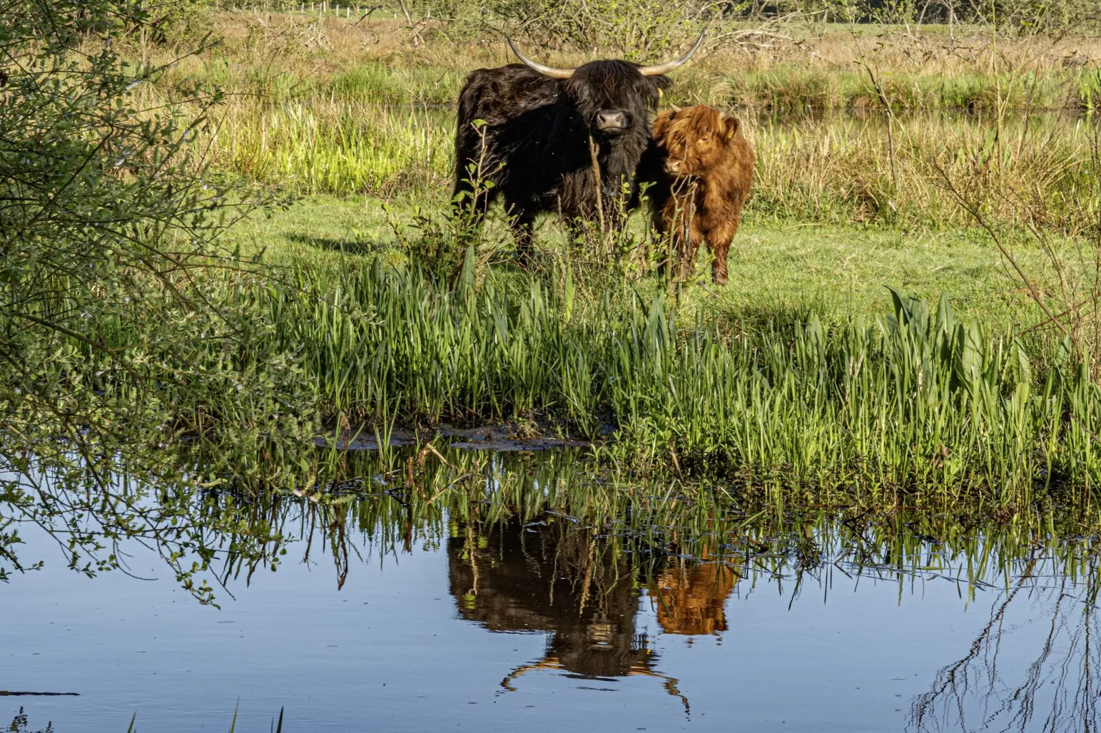Malta 7C- Second & 3th floor - Gebiete Sommer 5 km