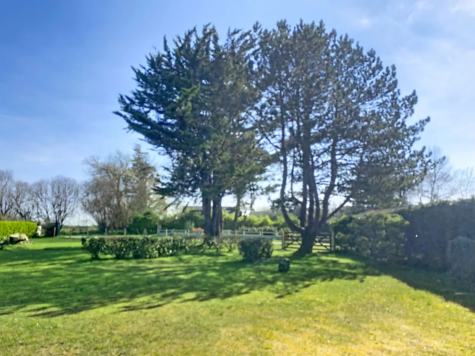 Le Chalet - Draußen