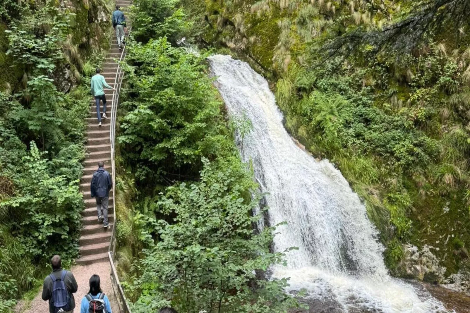 Ferienwohnung Läufer - Zones été à 5 km
