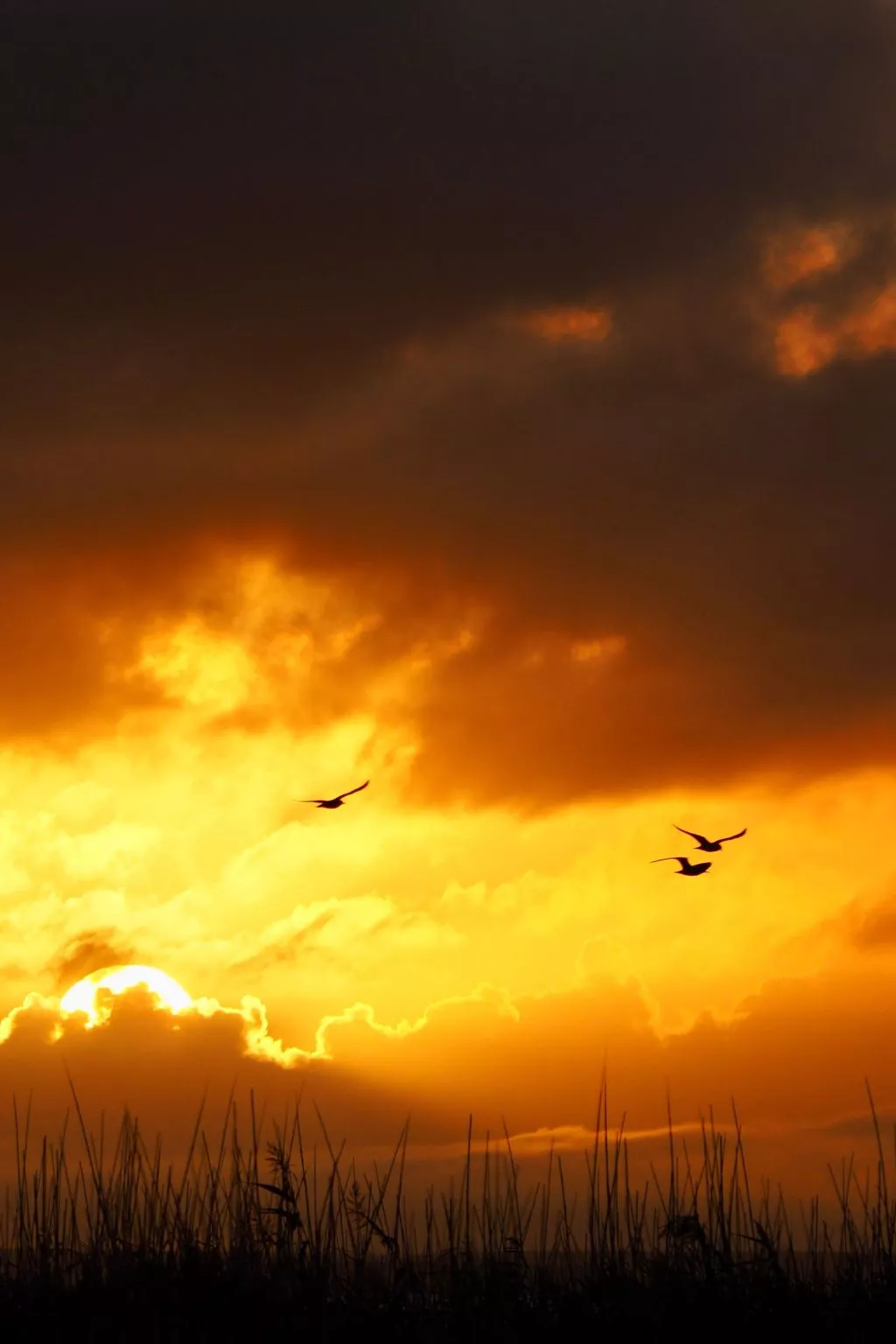 Morgensünn- Nette Wohnung in Althagen mit Terras - Dehors