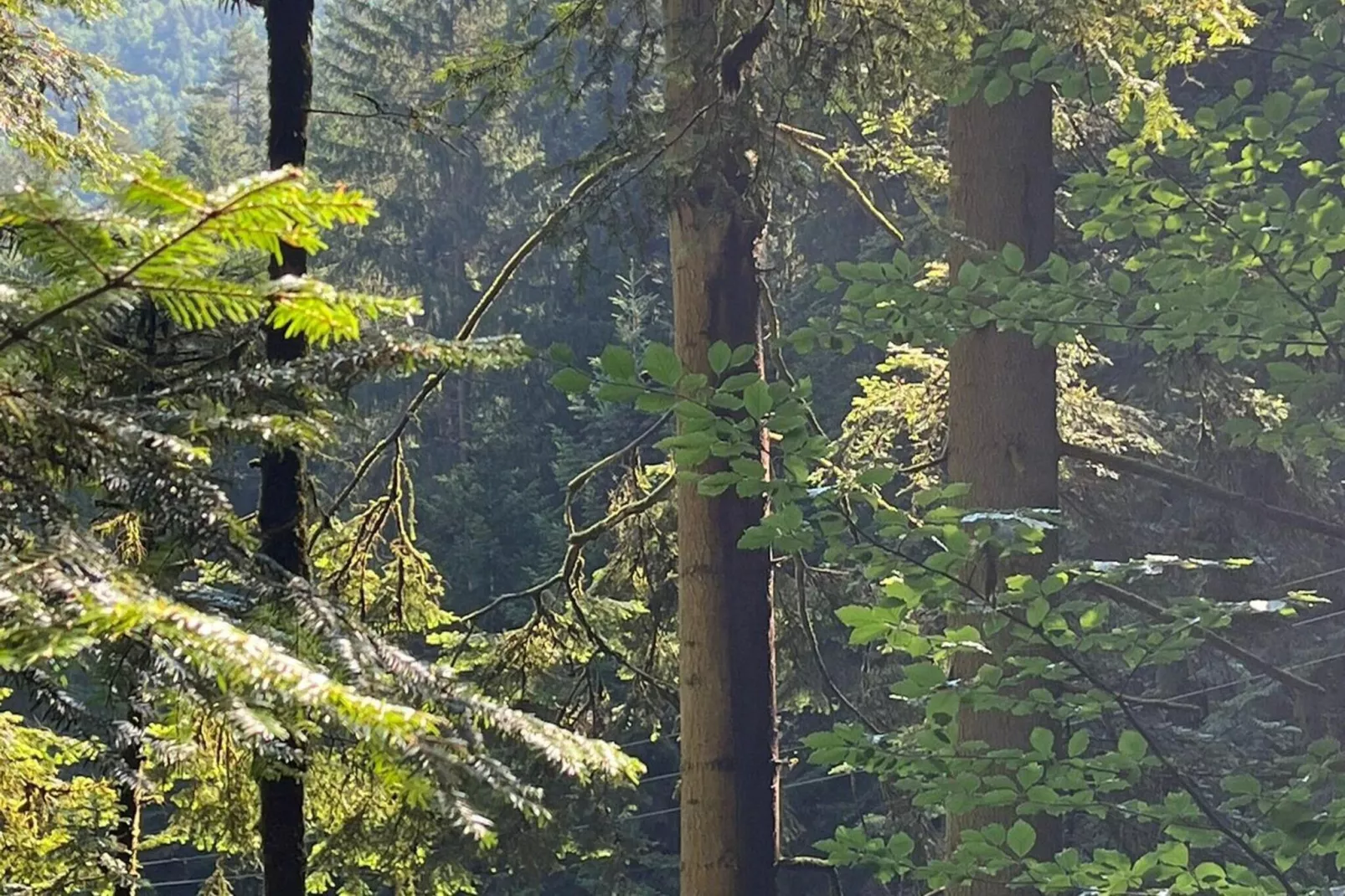 Ferienwohnung Läufer - Zones été à 5 km