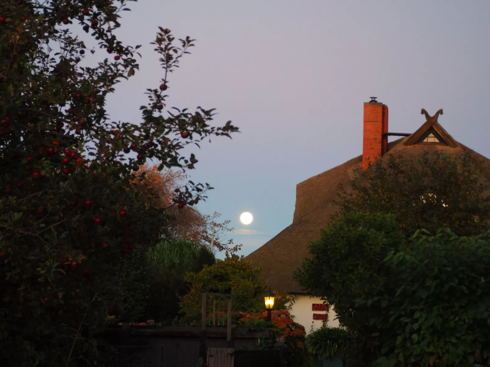 Morgensünn- Nette Wohnung in Althagen mit Terras - Dehors