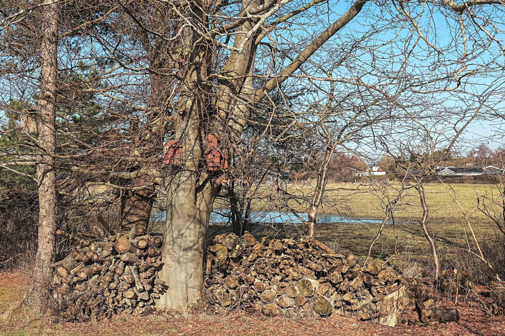 Maison de vacances pour 6 a Karrebæksminde