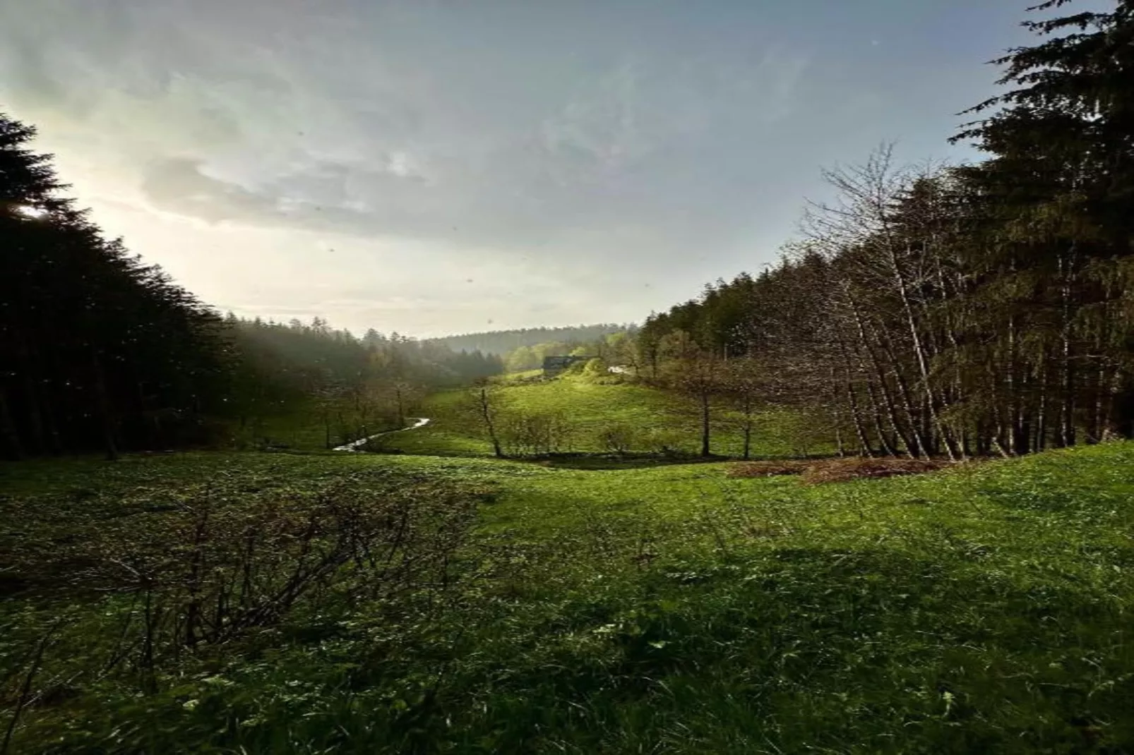 Gütenbach - Gebiete Sommer 20 km