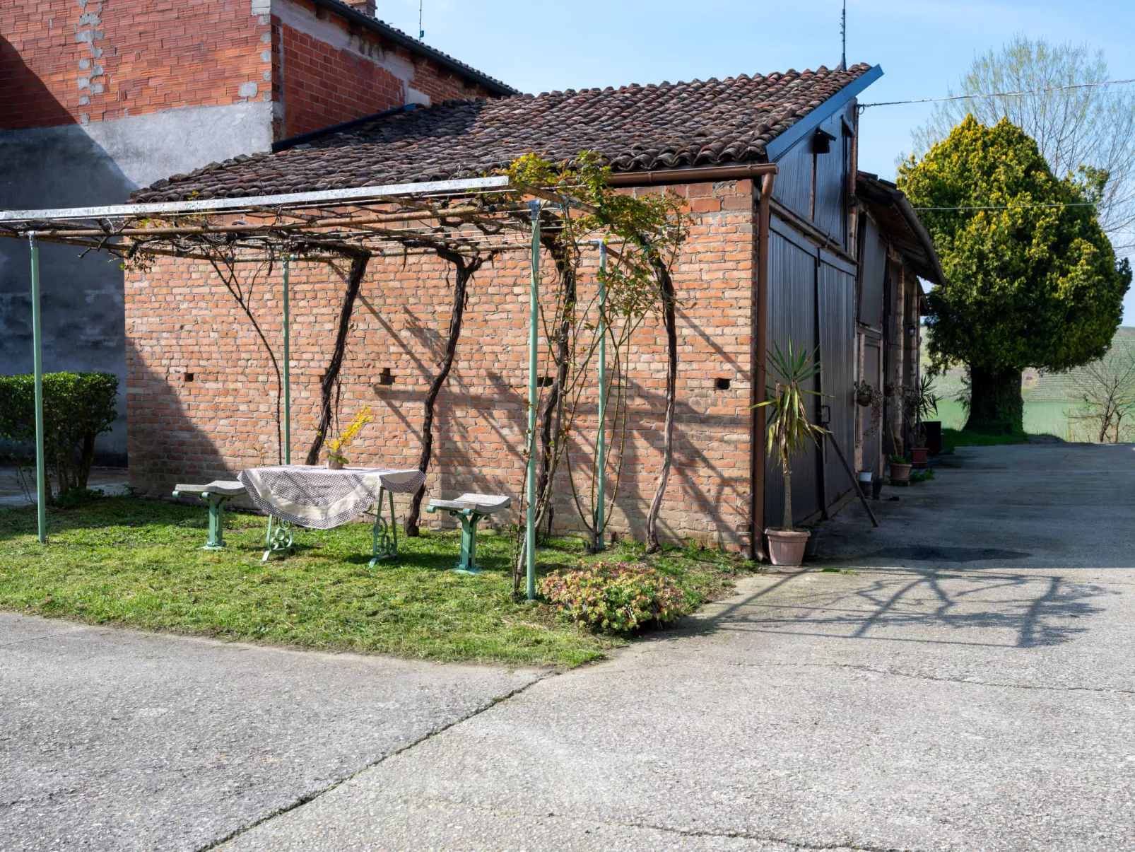 Barba Pipin - Outside