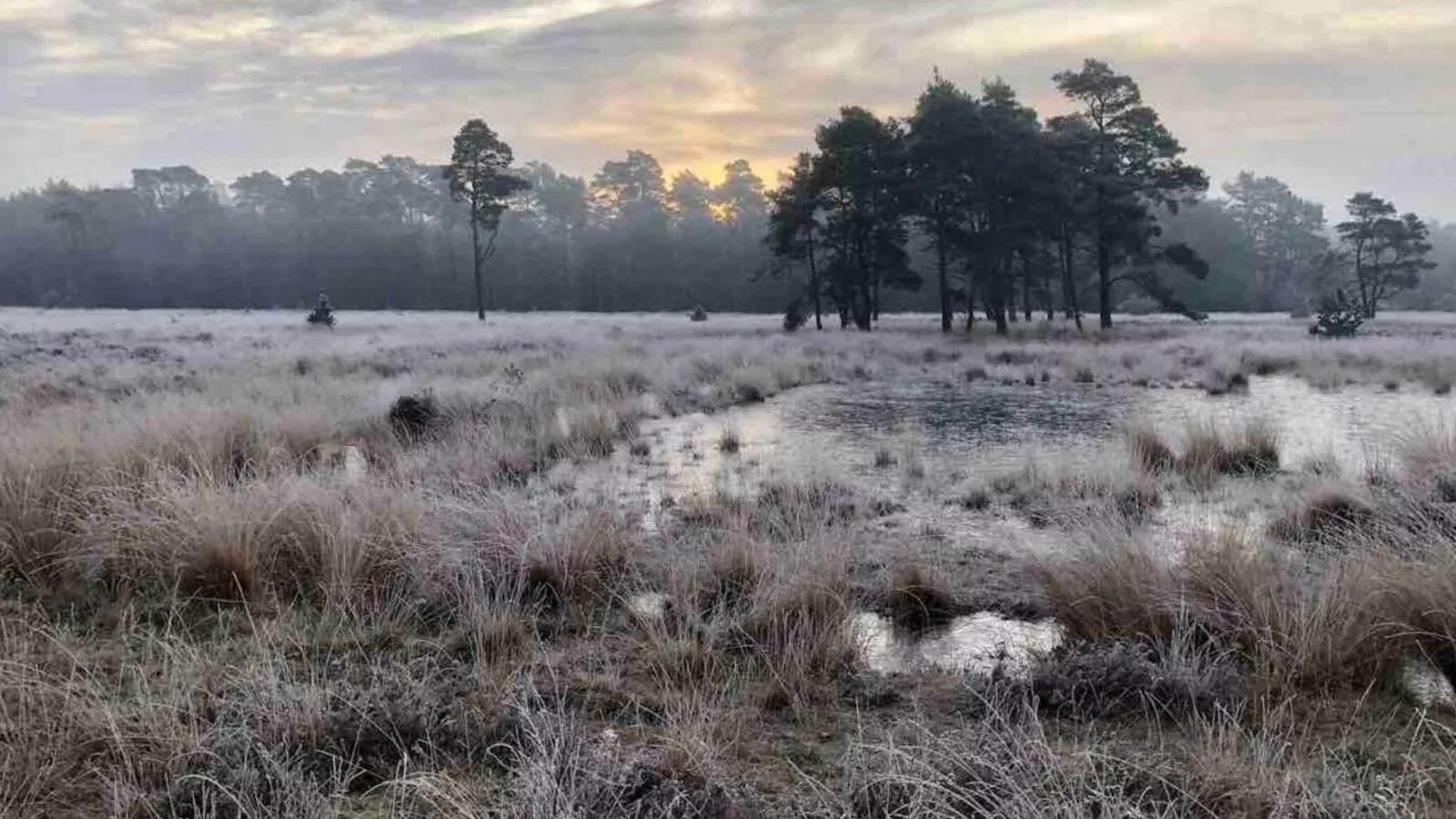 De Douglas - Gebiete Sommer 5 km